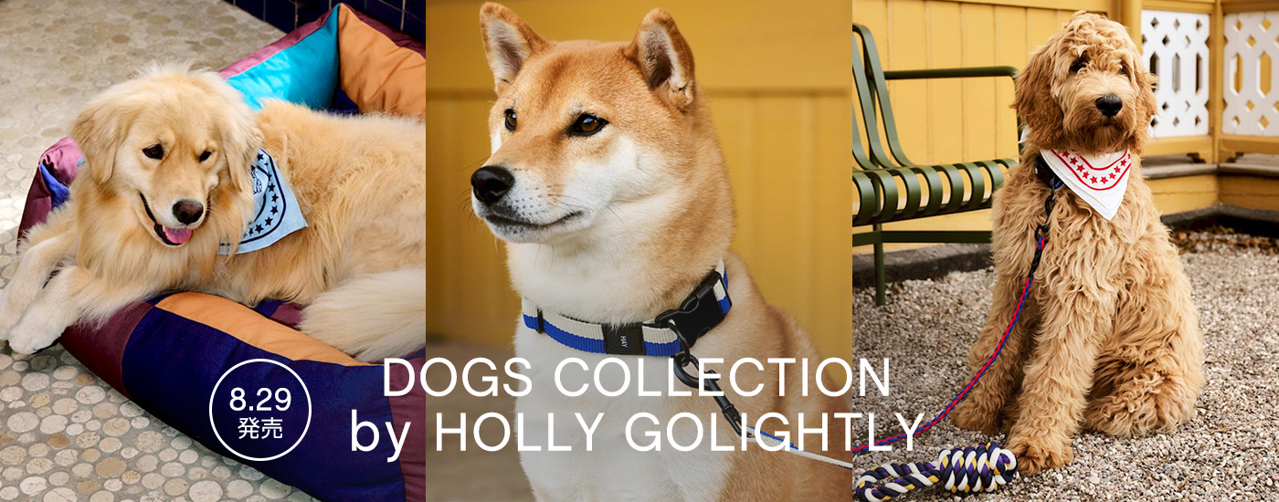 【8/29(木)発売】HAY DOGS BY HOLLY GOLIGHTLY