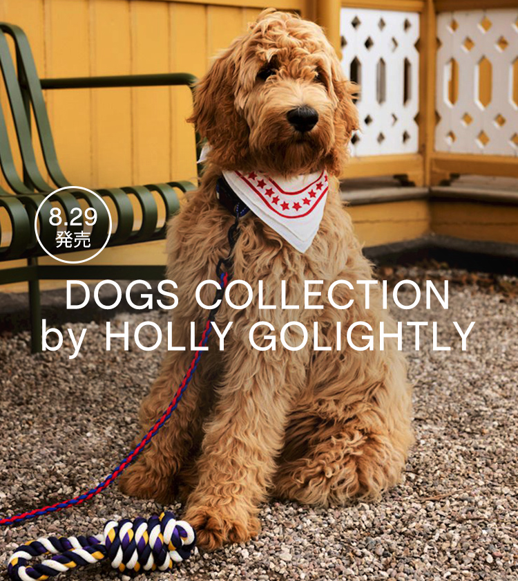 【8/29(木)発売】HAY DOGS BY HOLLY GOLIGHTLY