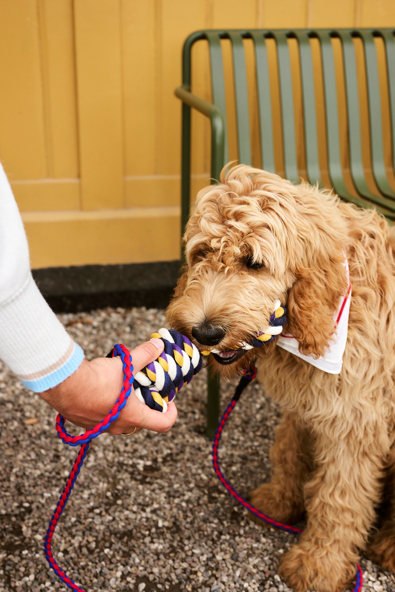 DOGS ROPE TOY｜北欧デンマーク インテリアブランドの通販サイト【HAY】 | 【公式】HAYオンラインストア